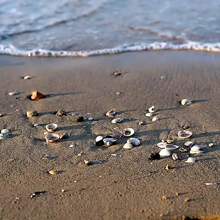 For The Peace Lovers We Offer Villa, Near The By Beahost 3* Bibione